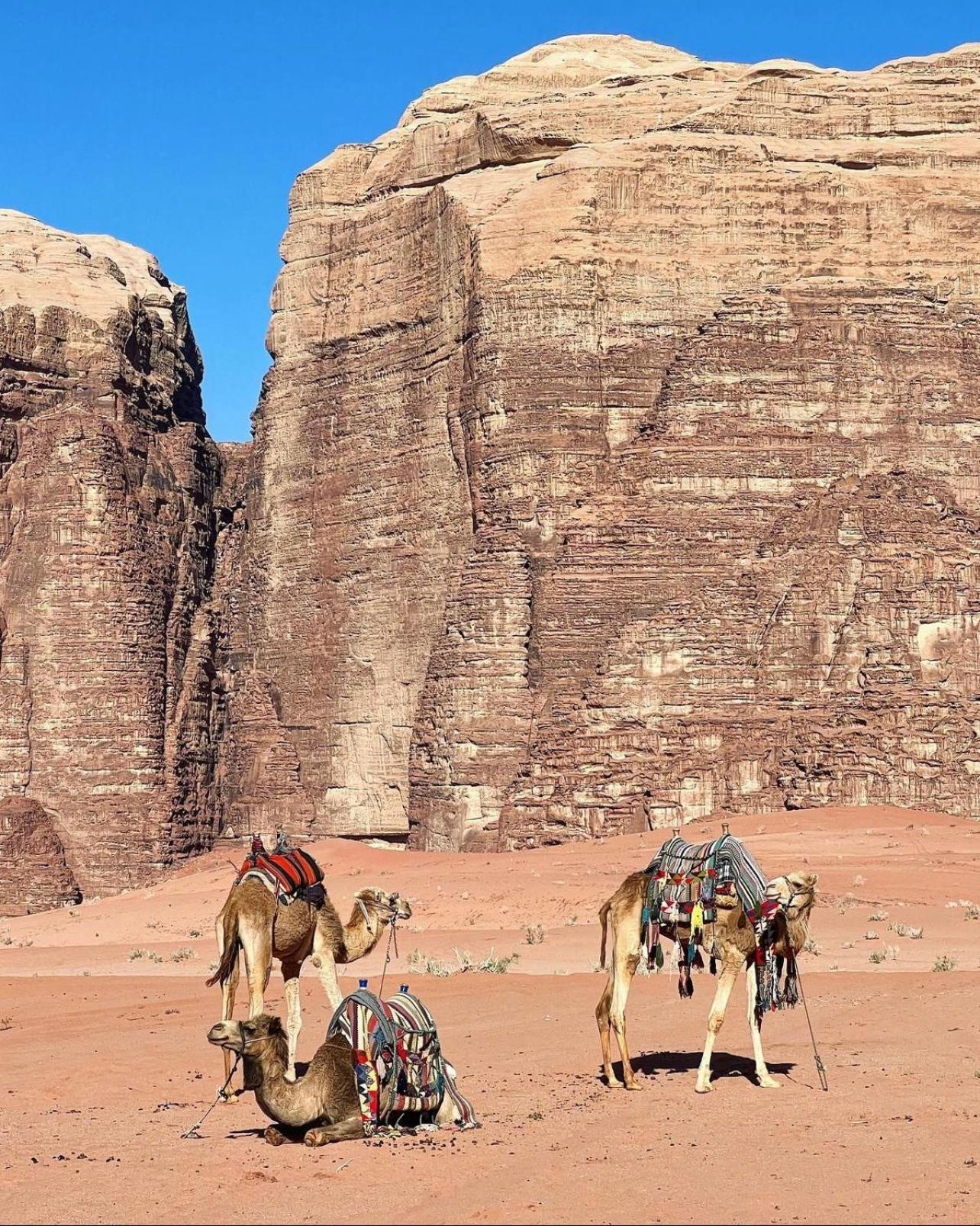Rum Maria Luxury Camp & Bubble Rooms Wadi Rum Exterior foto